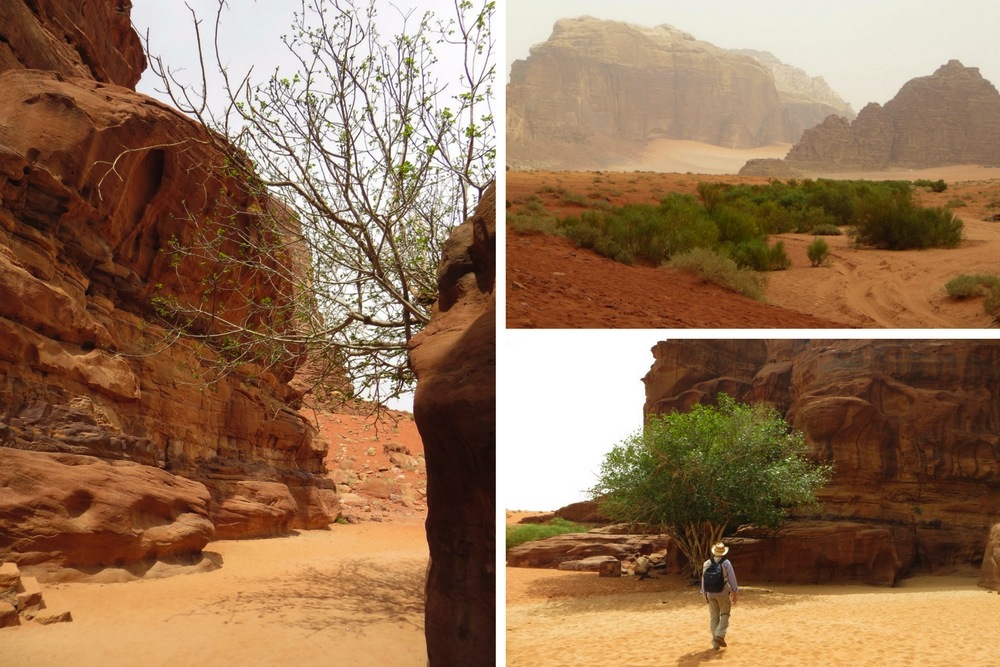 Wadi Rum Jordanien Farbenspiel