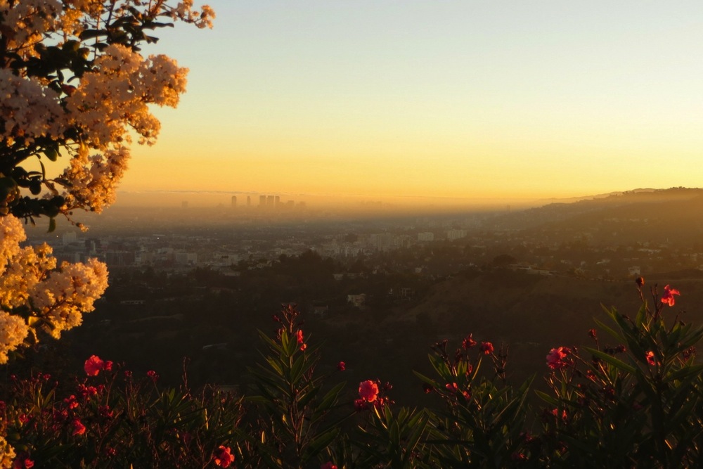 Kalifornien Urlaub Los Angeles Sonnenuntergang