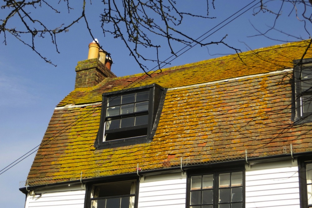 Hastings Häuserdächer