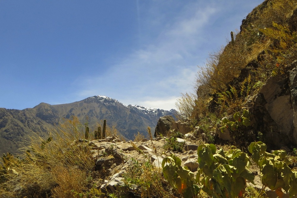 Peru Colca Canyon Wanderung