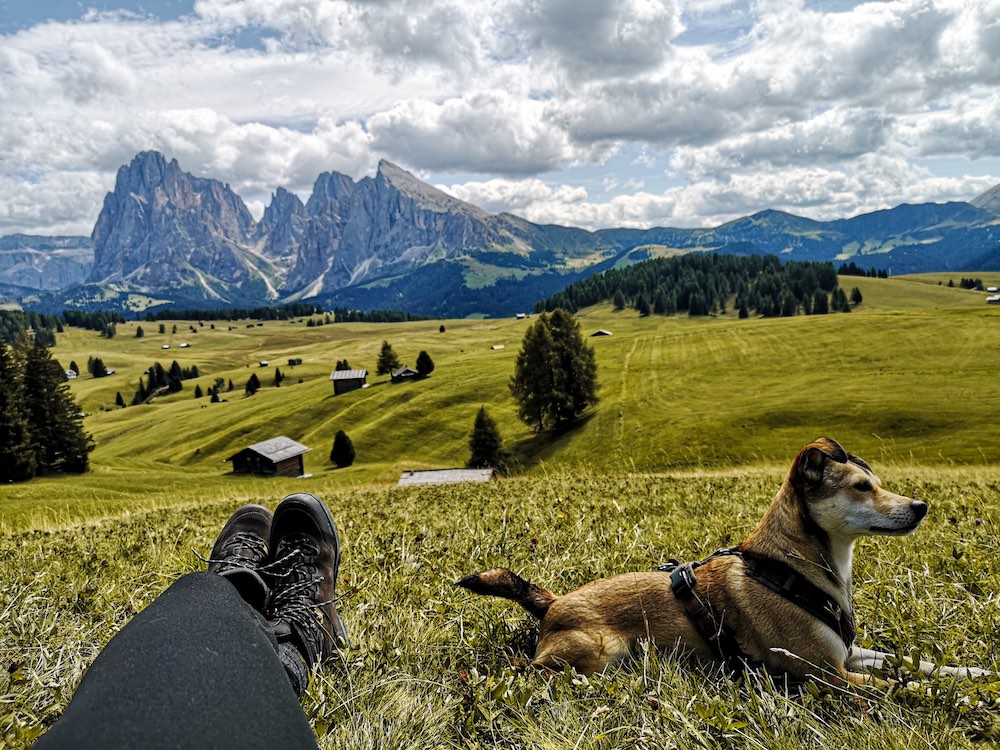 Im Südtirol Urlaub mit Hund...